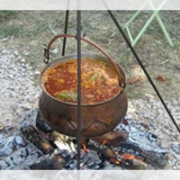 Fišijada „Vrbje 2011.“